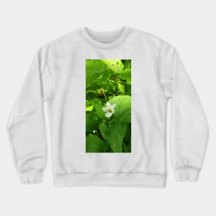 Small white flower on the forest floor Crewneck Sweatshirt